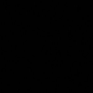 Meet your Posher, Toni